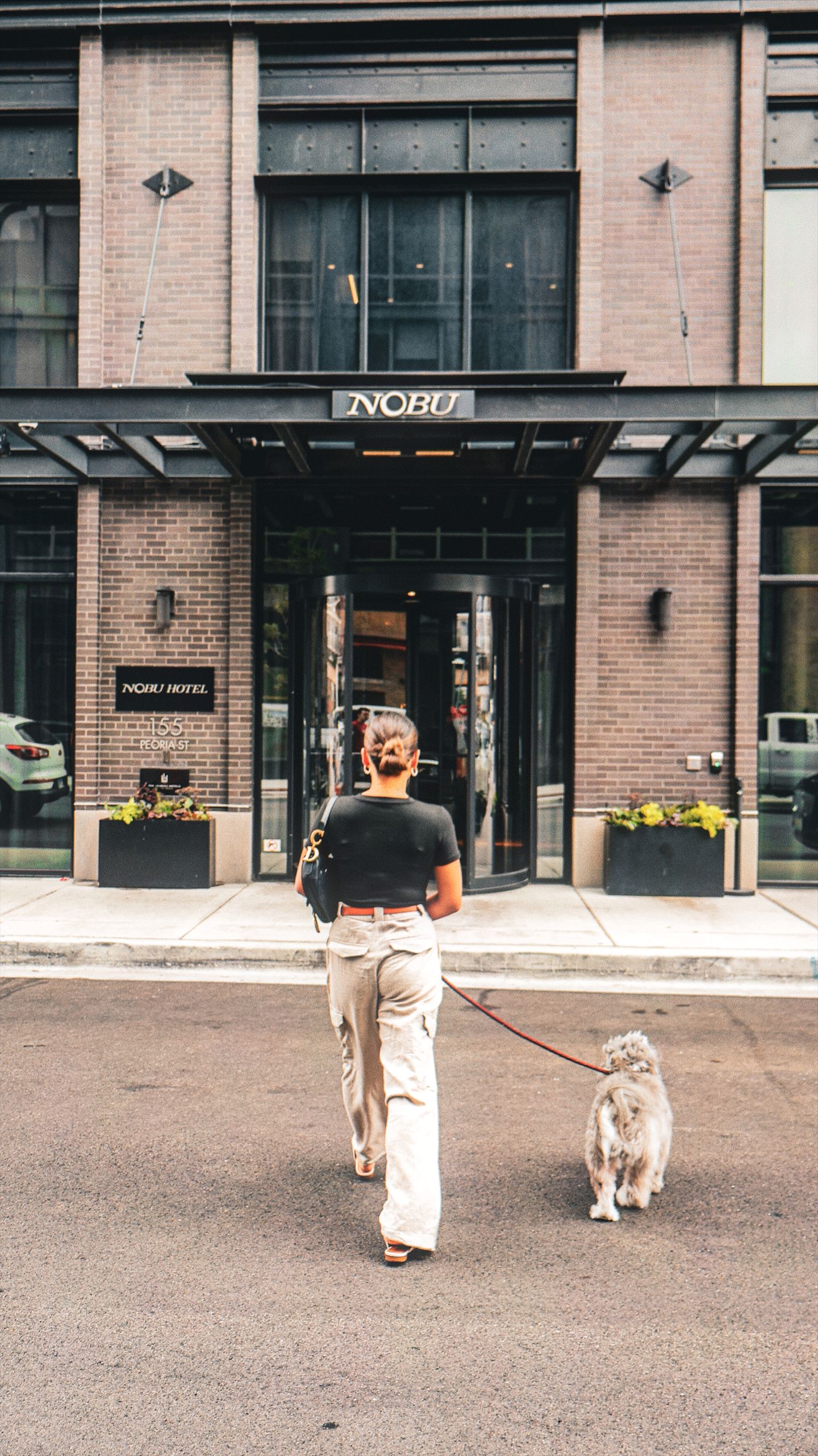 woman walking her dog towards the entrance