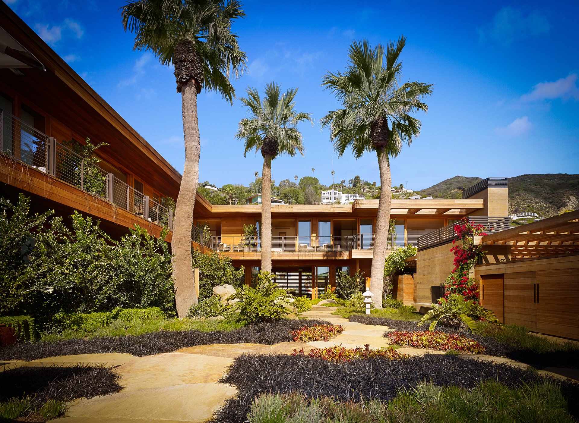 Courtyard view with three palm trees