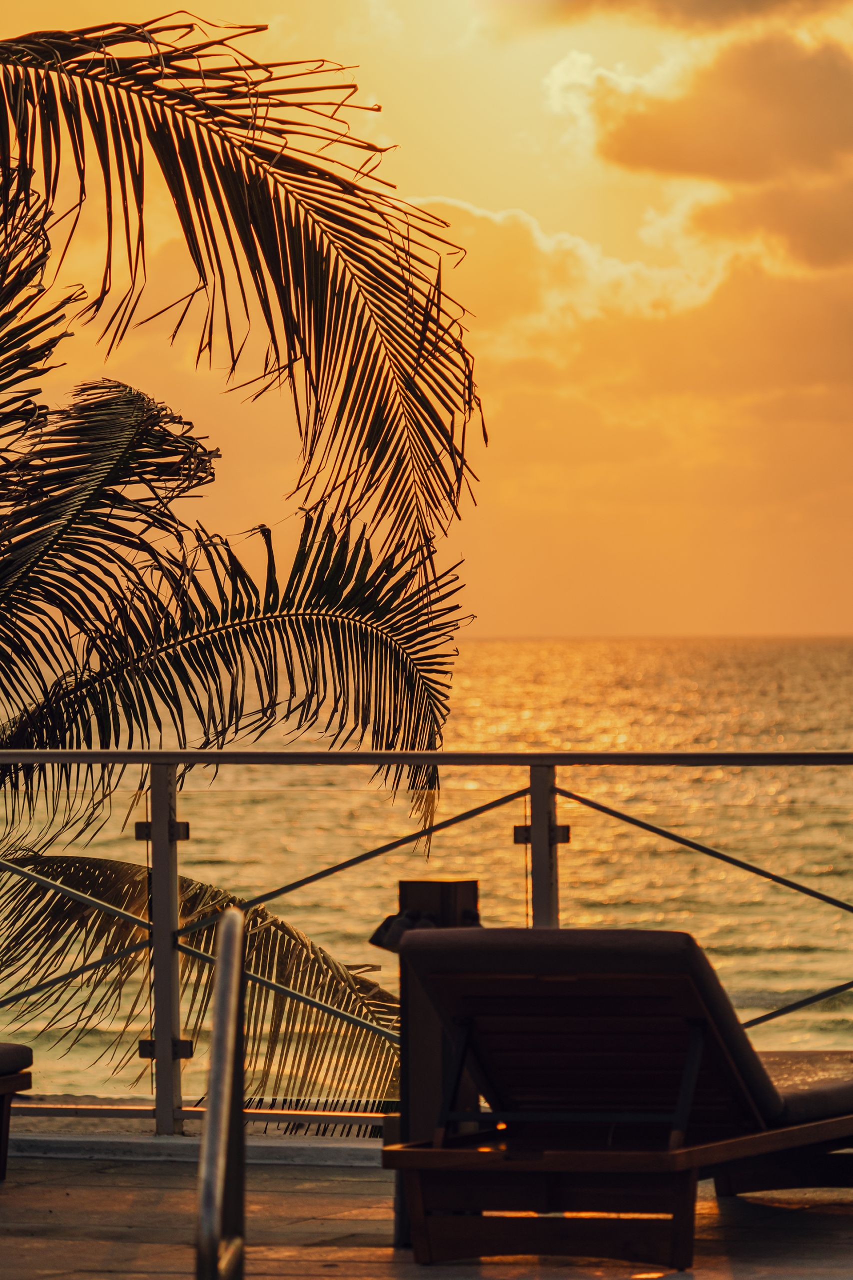 palm tree and beach chair with the beach view