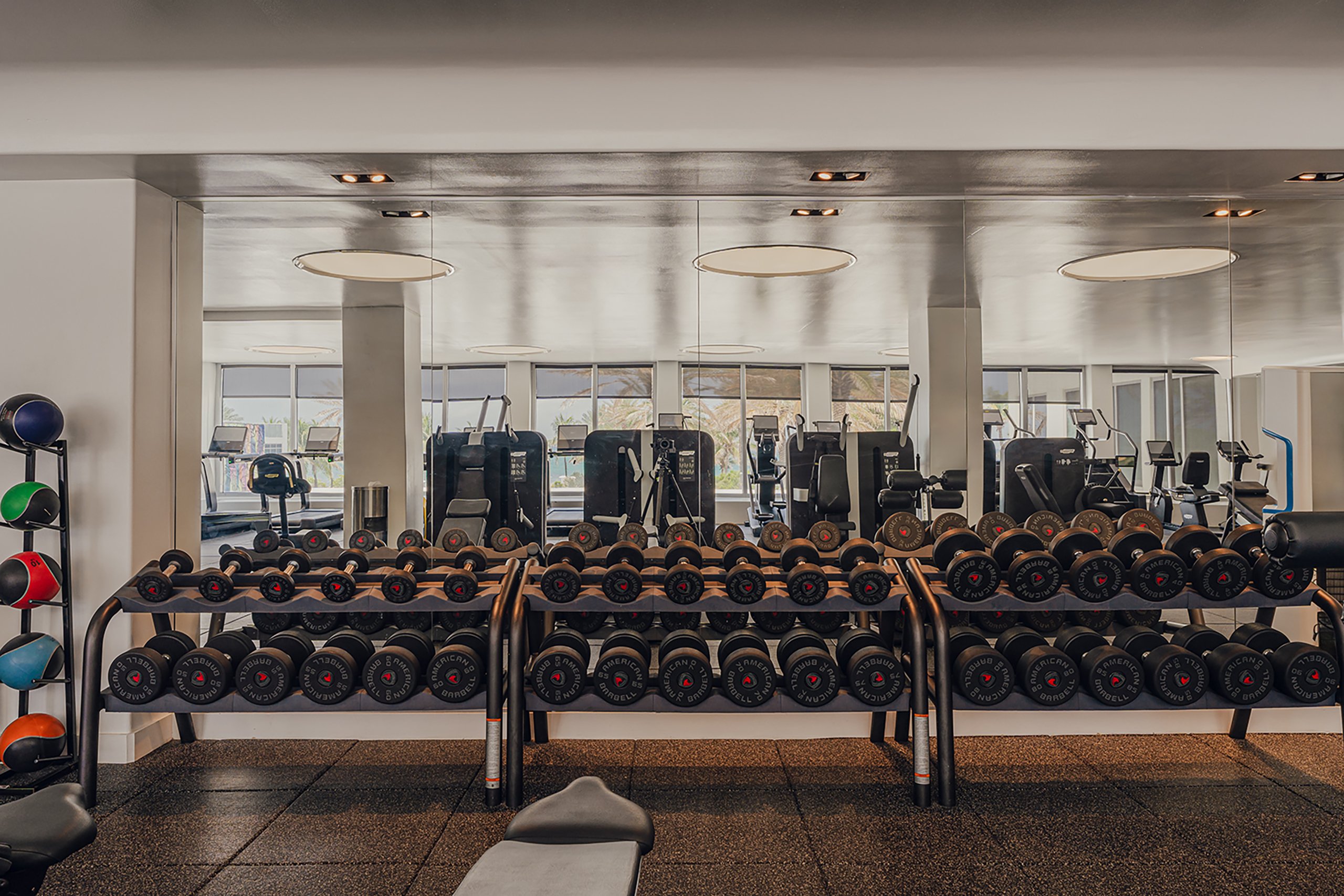 several dumbbells and balls with the large mirror