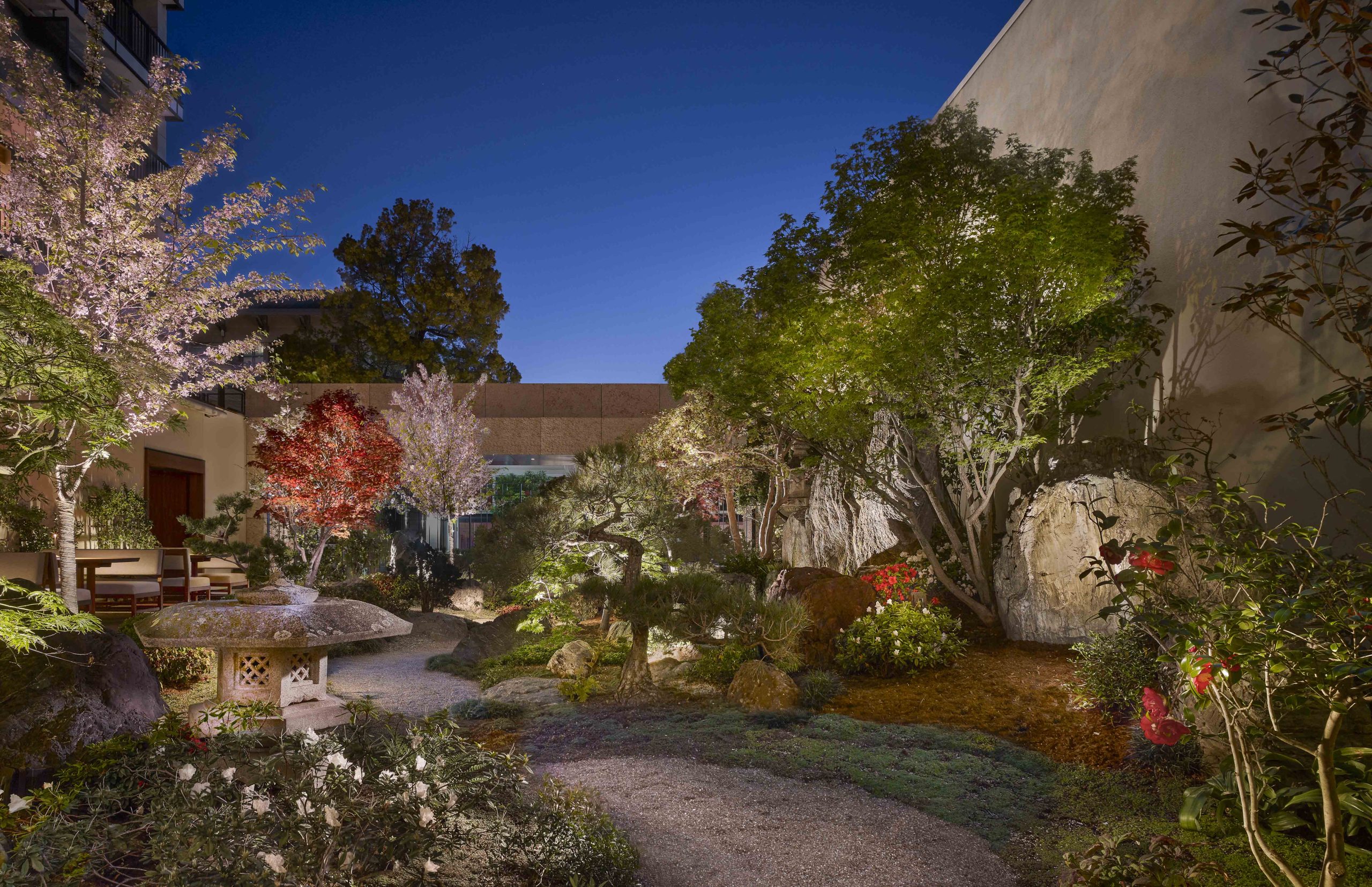 Open garden with various plants with dining area at night